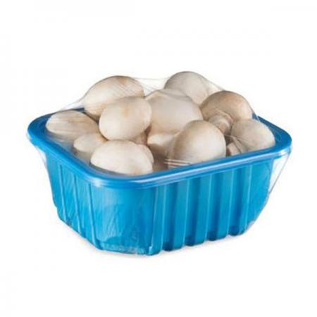 فواید استفاده از  ظروف بسته بندی قارچ